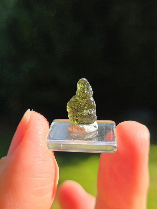  Moldavite naturelle de République Tchèque 
