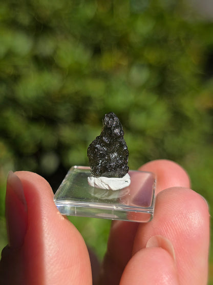  Moldavite naturelle de République Tchèque 
