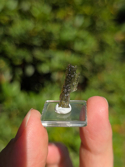  Moldavite naturelle de République Tchèque 