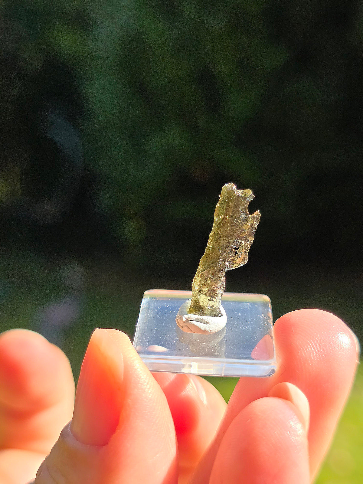  Moldavite naturelle de République Tchèque 