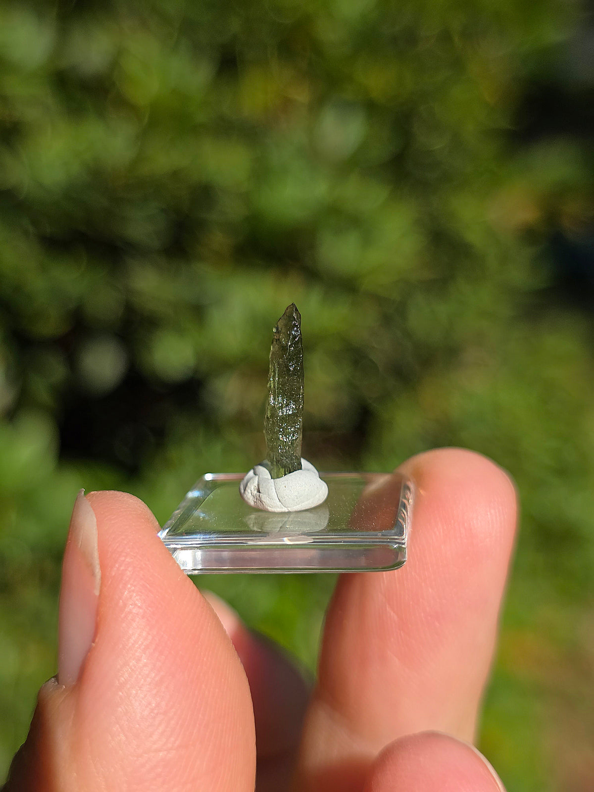  Moldavite naturelle de République Tchèque 