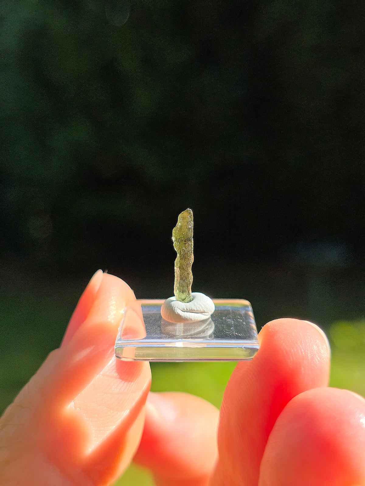  Moldavite naturelle de République Tchèque 