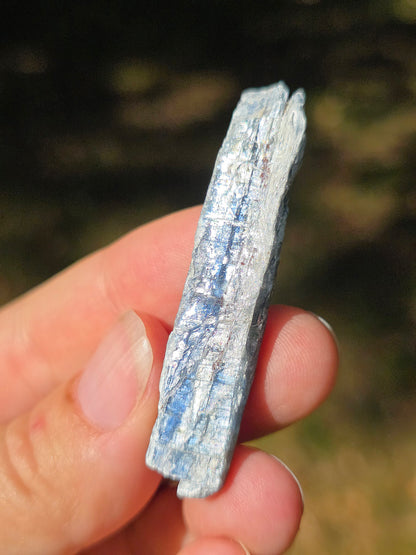 Cyanite bleue semi-polie de Zambie