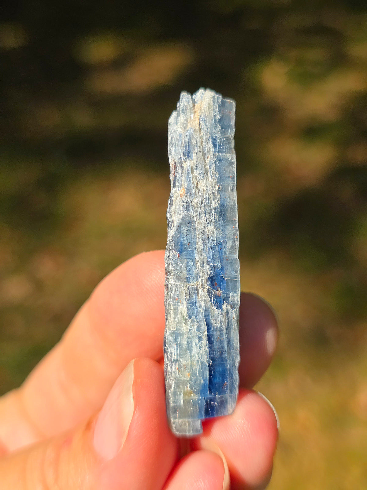 Cyanite bleue semi-polie de Zambie