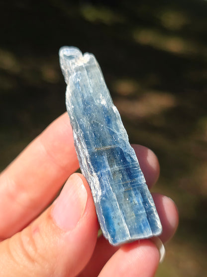 Cyanite bleue semi-polie de Zambie
