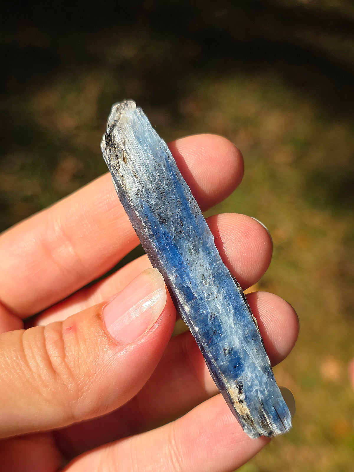 Cyanite bleue semi-polie de Zambie
