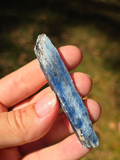 Cyanite bleue semi-polie de Zambie