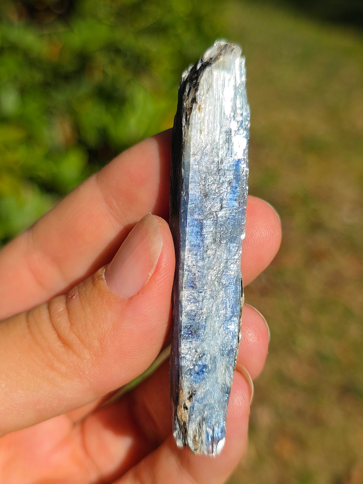 Cyanite bleue semi-polie de Zambie