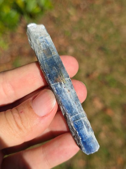 Cyanite bleue semi-polie de Zambie