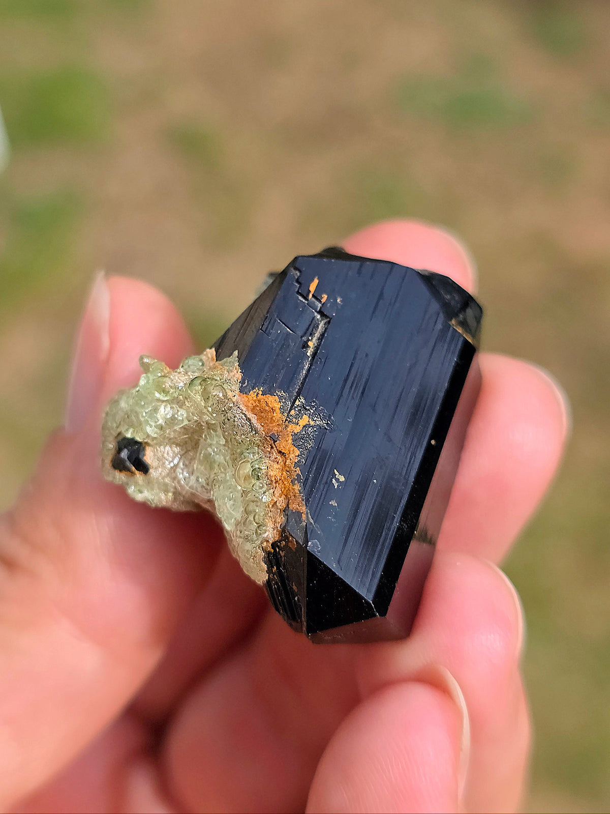 Opale Hyalite sur Tourmaline noire d'Erongo C