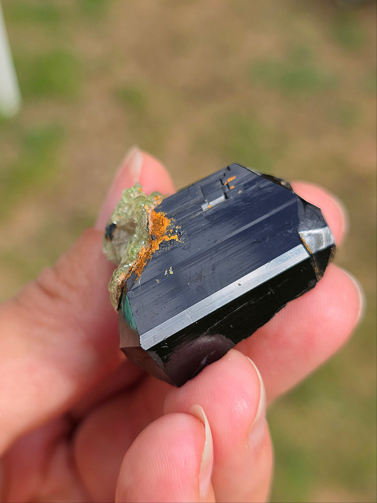 Opale Hyalite sur Tourmaline noire d'Erongo C