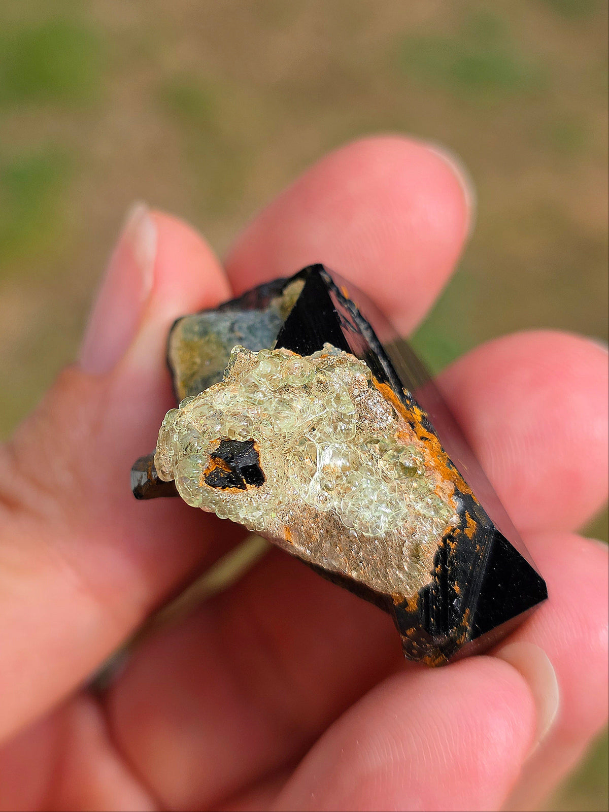 Opale Hyalite sur Tourmaline noire d'Erongo C