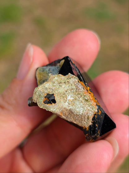 Opale Hyalite sur Tourmaline noire d'Erongo C