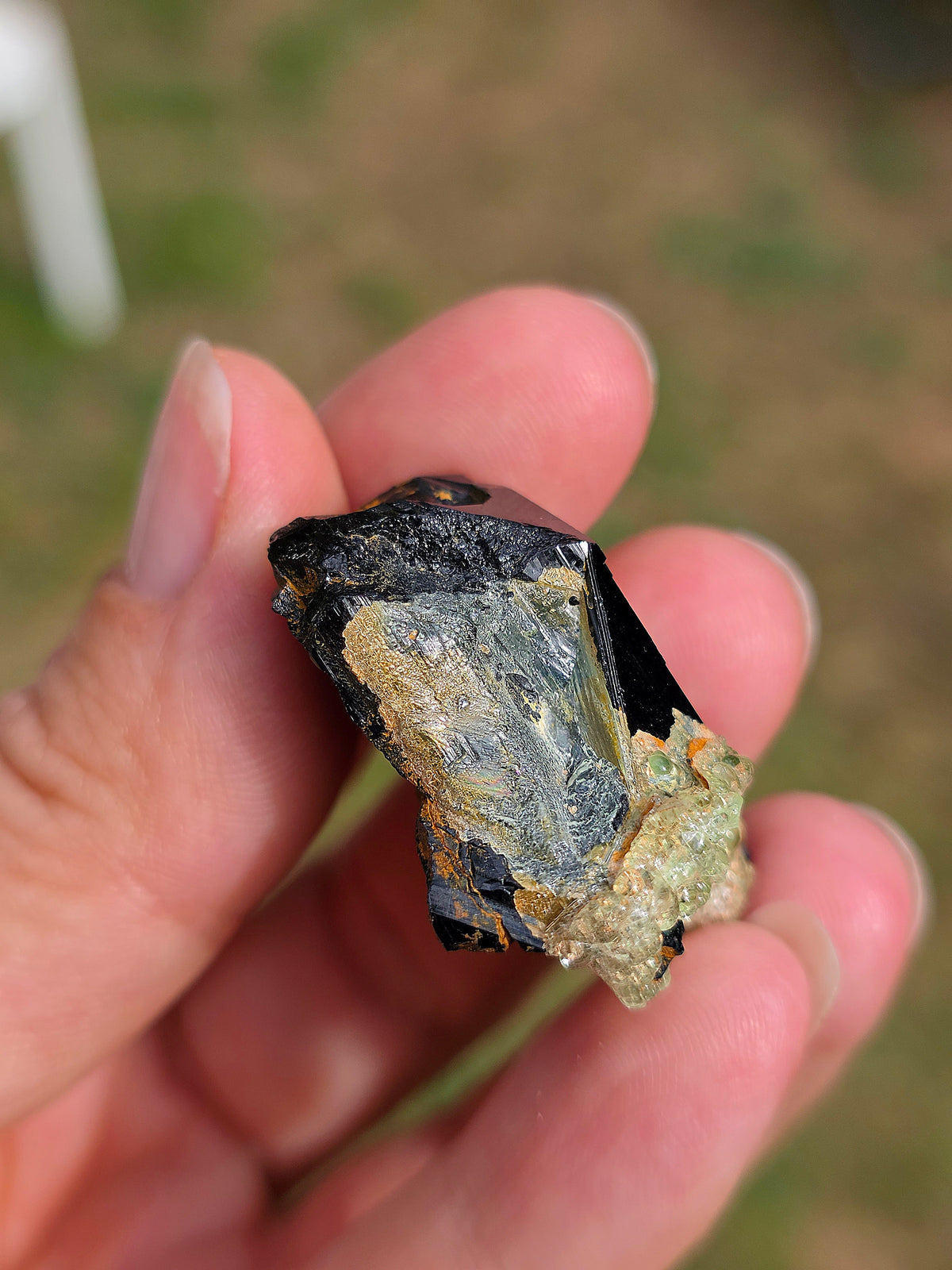 Opale Hyalite sur Tourmaline noire d'Erongo C