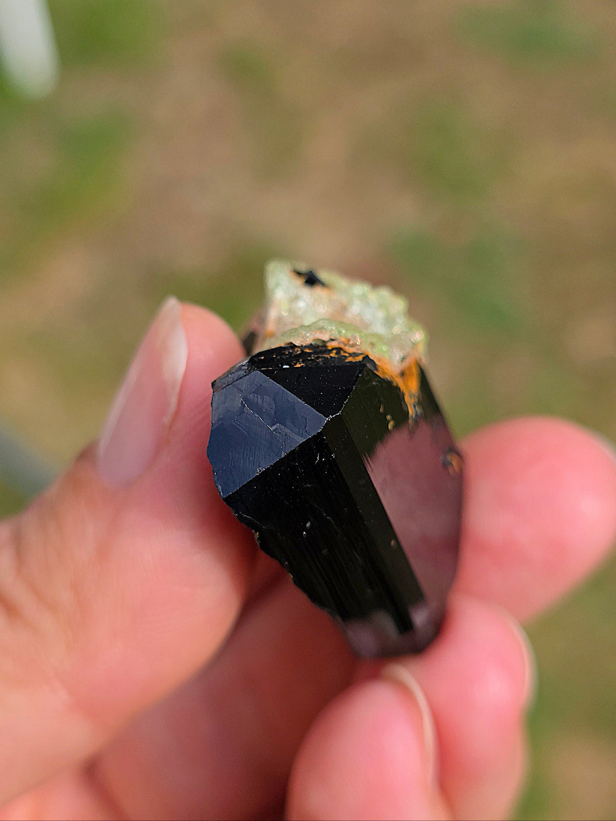 Opale Hyalite sur Tourmaline noire d'Erongo C
