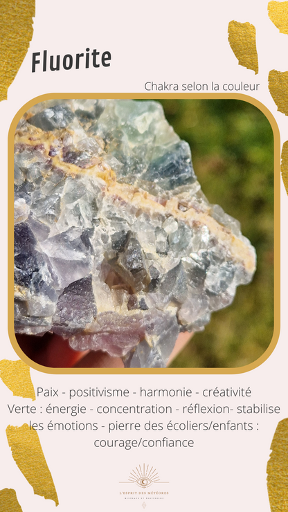 Galet plat de Fluorite (à choisir)