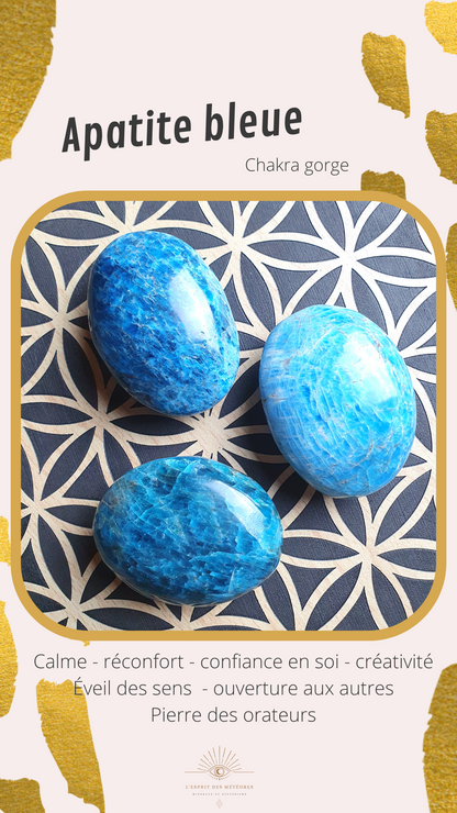Pendentif en Apatite bleue (à choisir)
