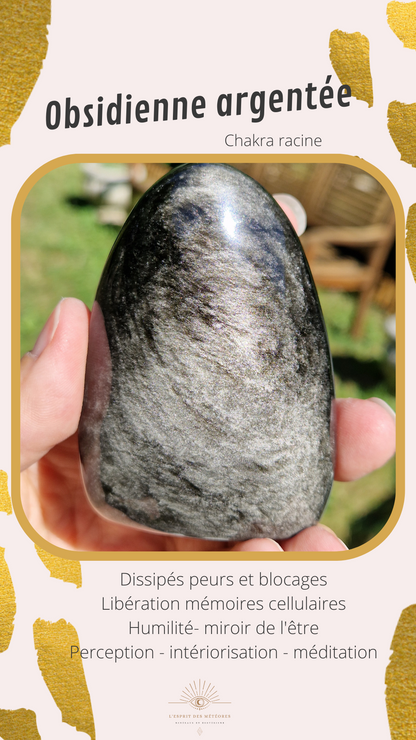 Sphère Obsidienne argentée