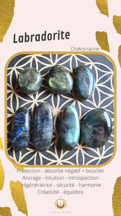 Forme libre Labradorite E