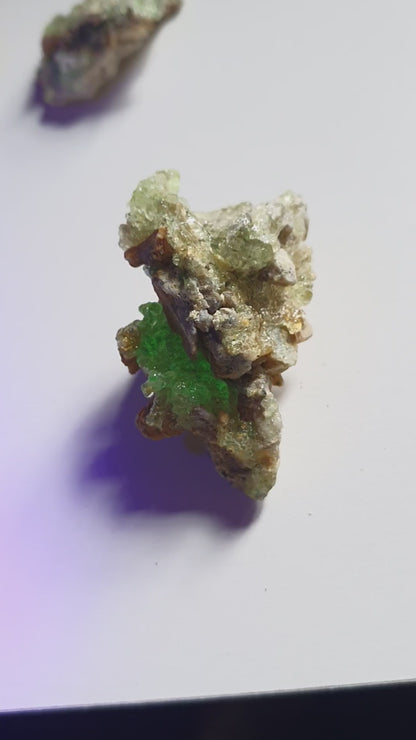 Opale Hyalite (fluorescente)OH2