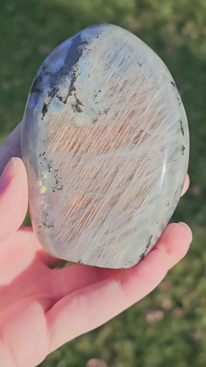 Forme libre Labradorite B