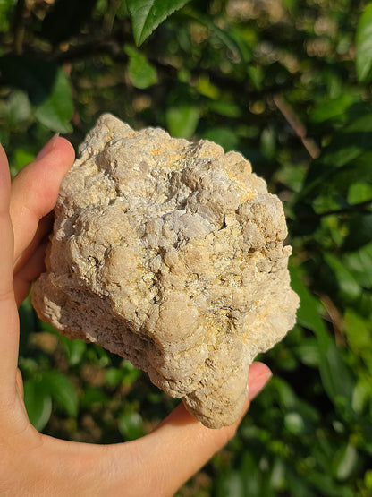 Demi géode Quartz des Landes