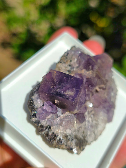 Fluorite violette brute d'Angleterre