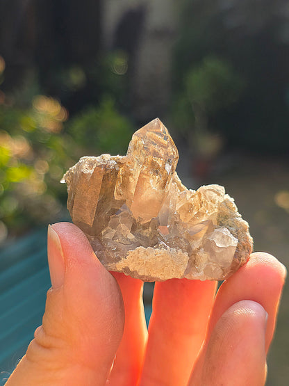Quartz fumé des Pyrénées n°23
