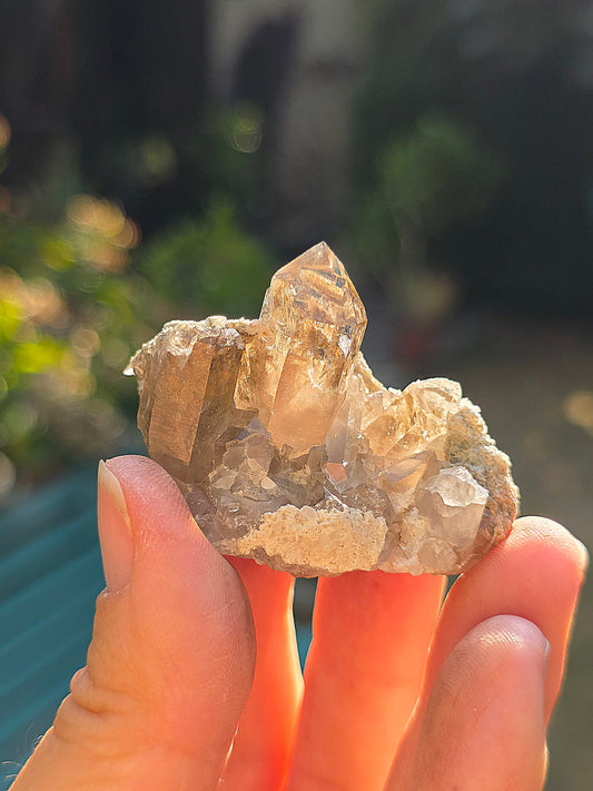 Quartz fumé des Pyrénées n°23