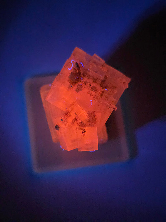 Halite espagnole réactive aux UV sur socle
