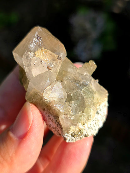 Quartz des Pyrénées avec Byssolite