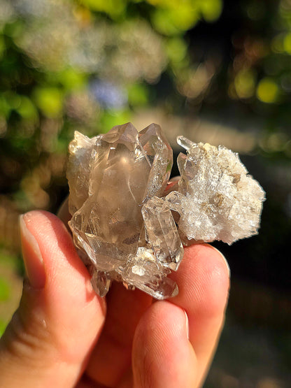 Quartz fumé des Pyrénées n°20
