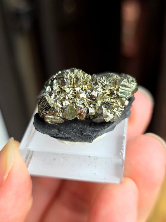 Pyrite sur Schiste n°11