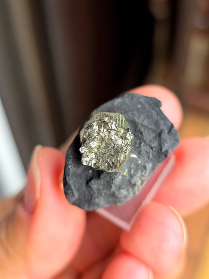 Pyrite sur Schiste n°1