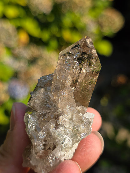 Superbe Quartz fumé des Pyrénées n°31