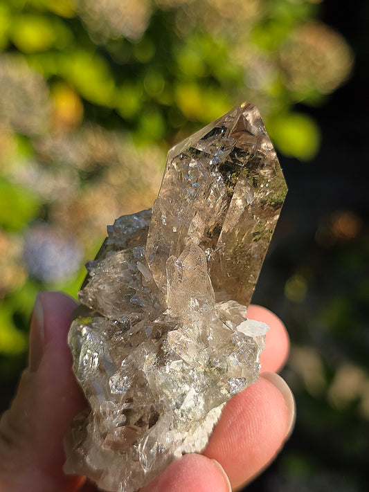 Superbe Quartz fumé des Pyrénées n°31