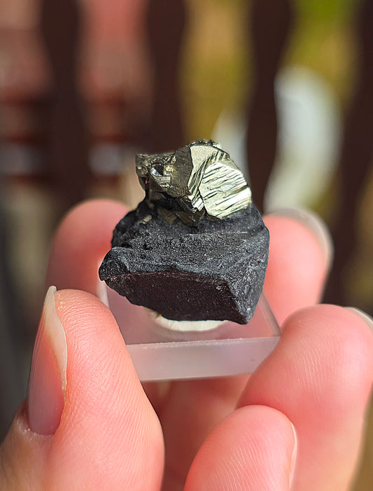Pyrite sur Schiste n°1