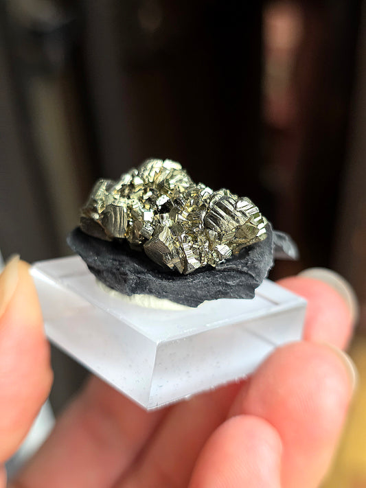 Pyrite sur Schiste n°11