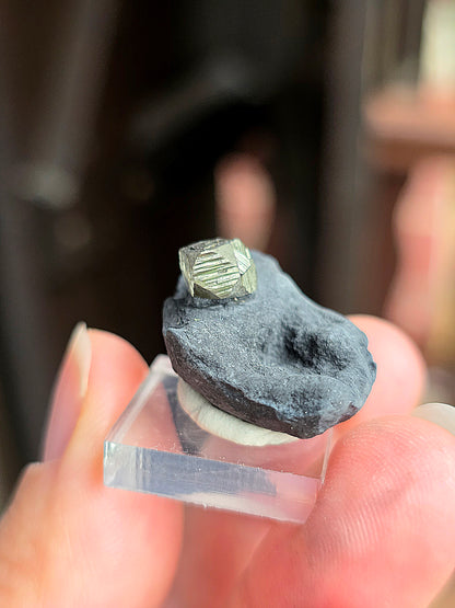 Pyrite sur Schiste n°9