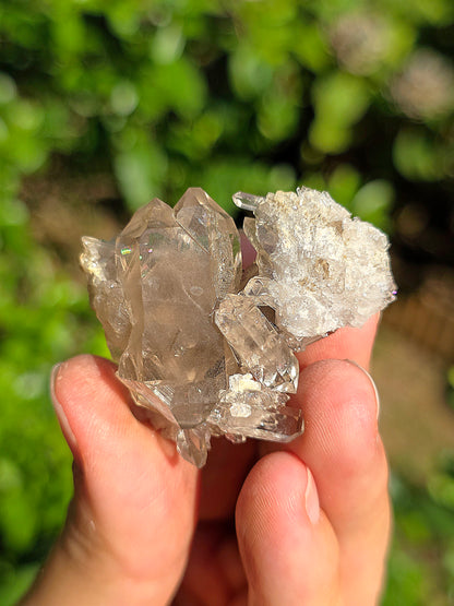 Quartz fumé des Pyrénées n°20