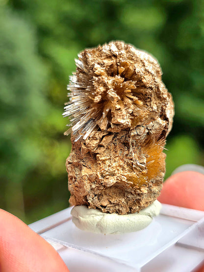 Aragonite corollaire française n°3