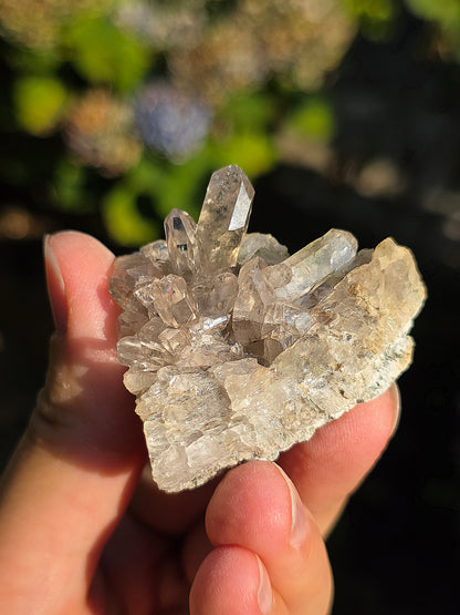 Quartz fumé des Pyrénées n°28