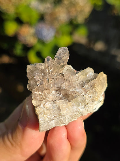 Quartz fumé des Pyrénées n°28