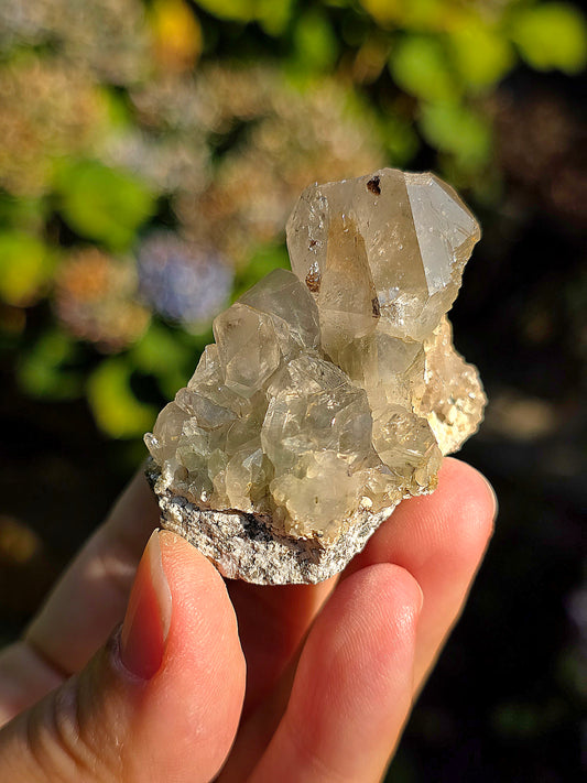 Quartz des Pyrénées avec Byssolite