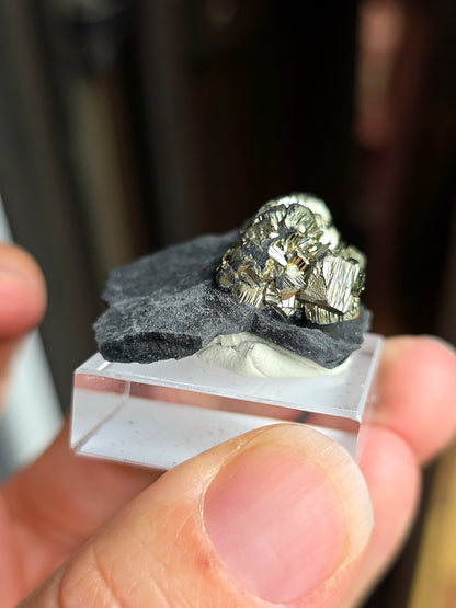 Pyrite sur Schiste n°11