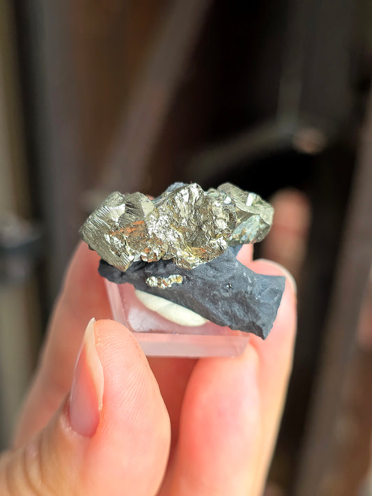 Pyrite sur Schiste n°2