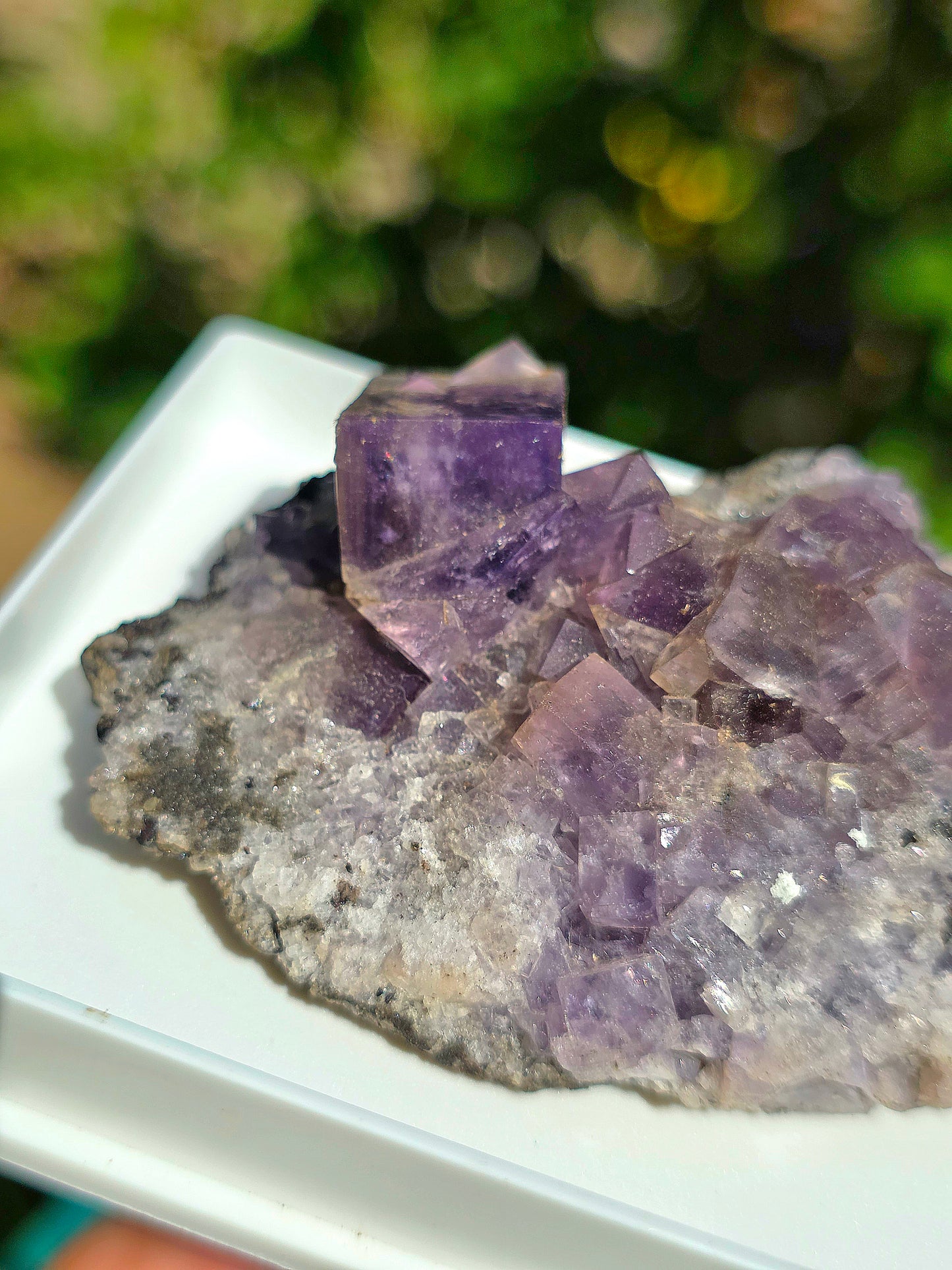 Fluorite violette brute d'Angleterre