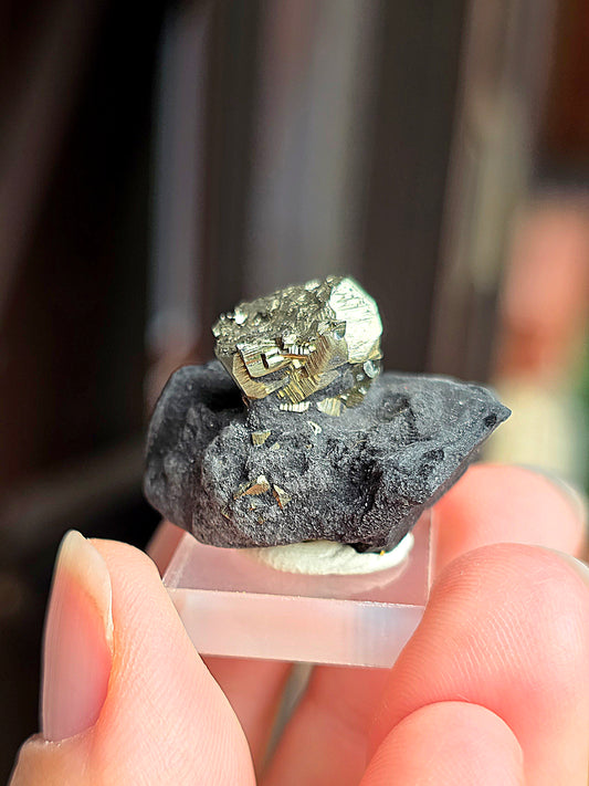Pyrite sur Schiste n°1