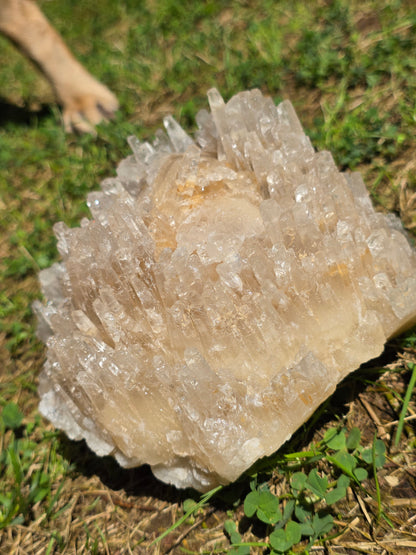 Superbe Calcite miel française (vidéo)