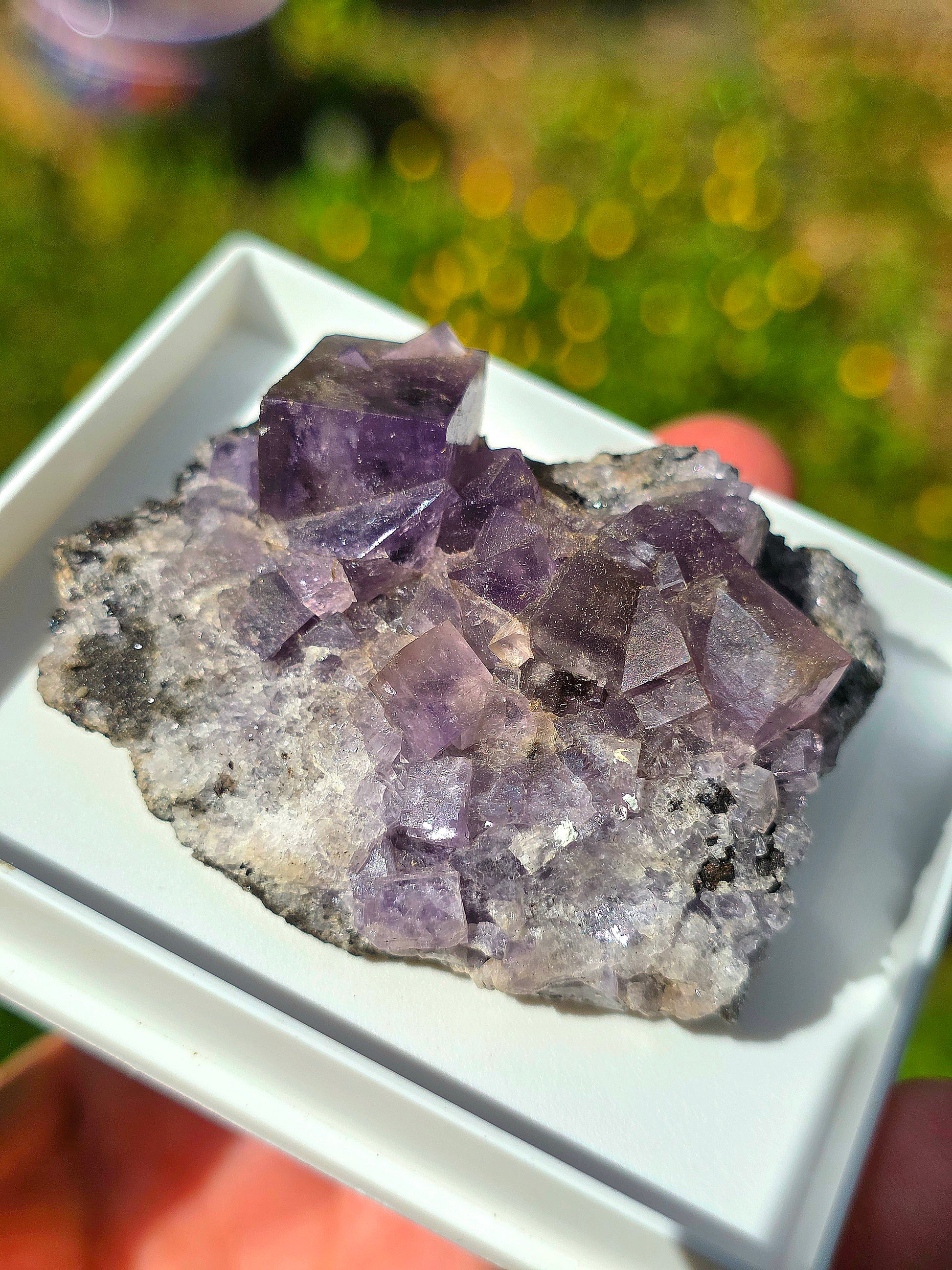 Fluorite violette brute d'Angleterre